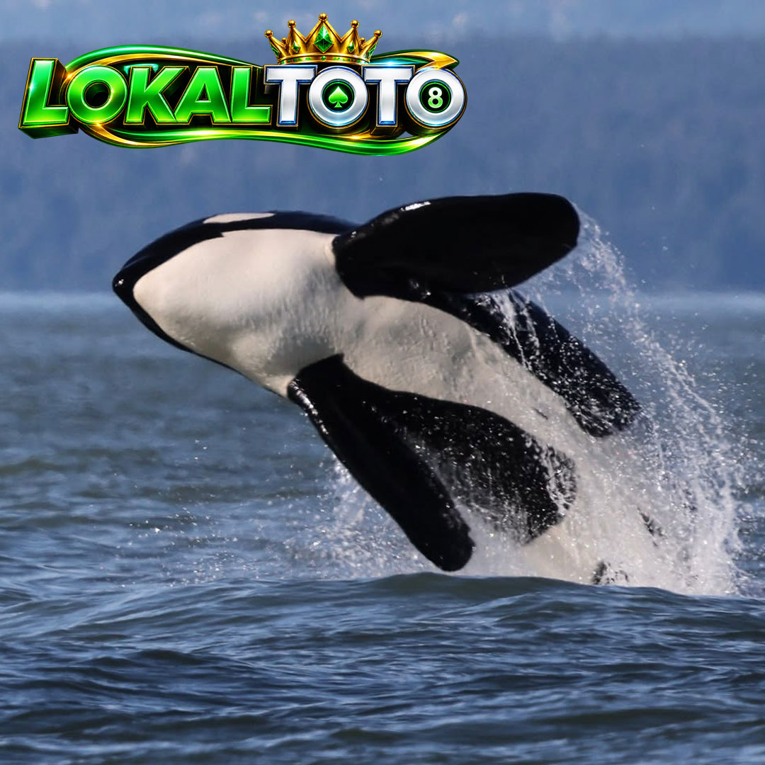 LOKALTOTO